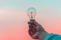 person-holding-light-bulb.jpg person holding light bulb